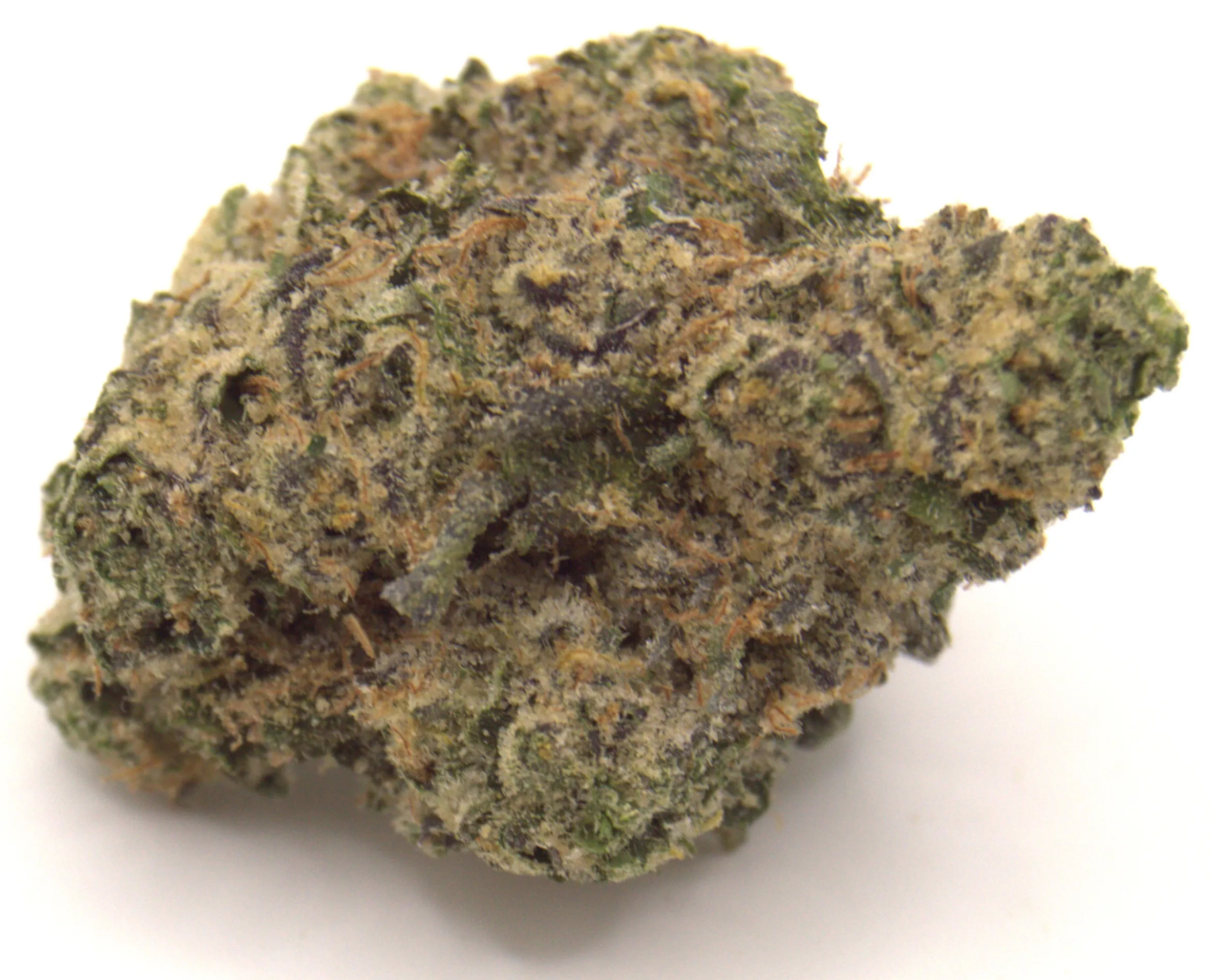 Bacio Gelato