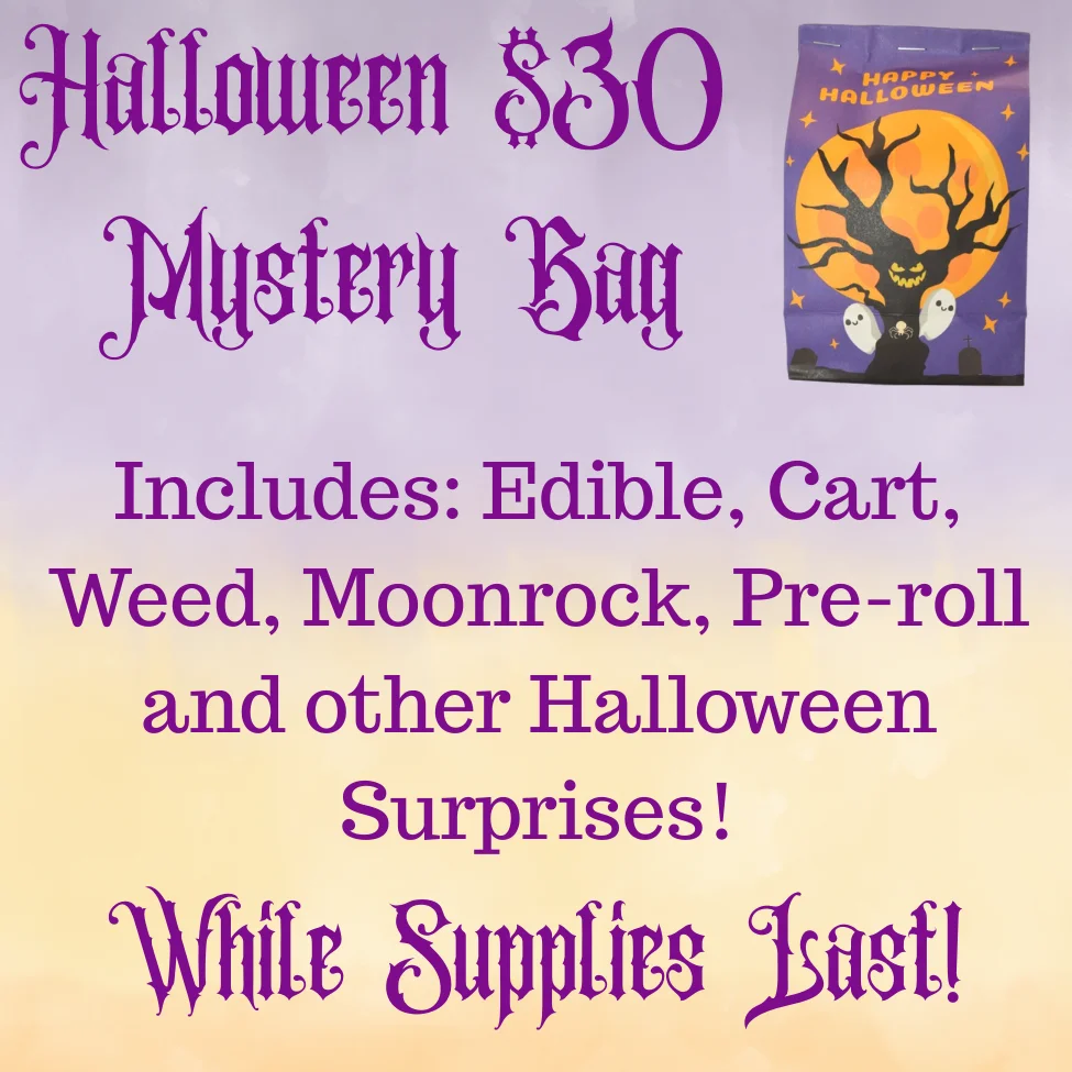 Halloween $30 Mystery Bag