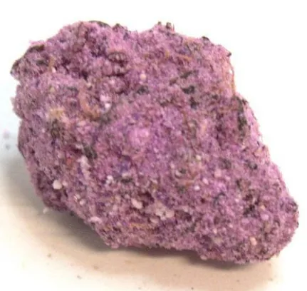 Snowcaps - Purple