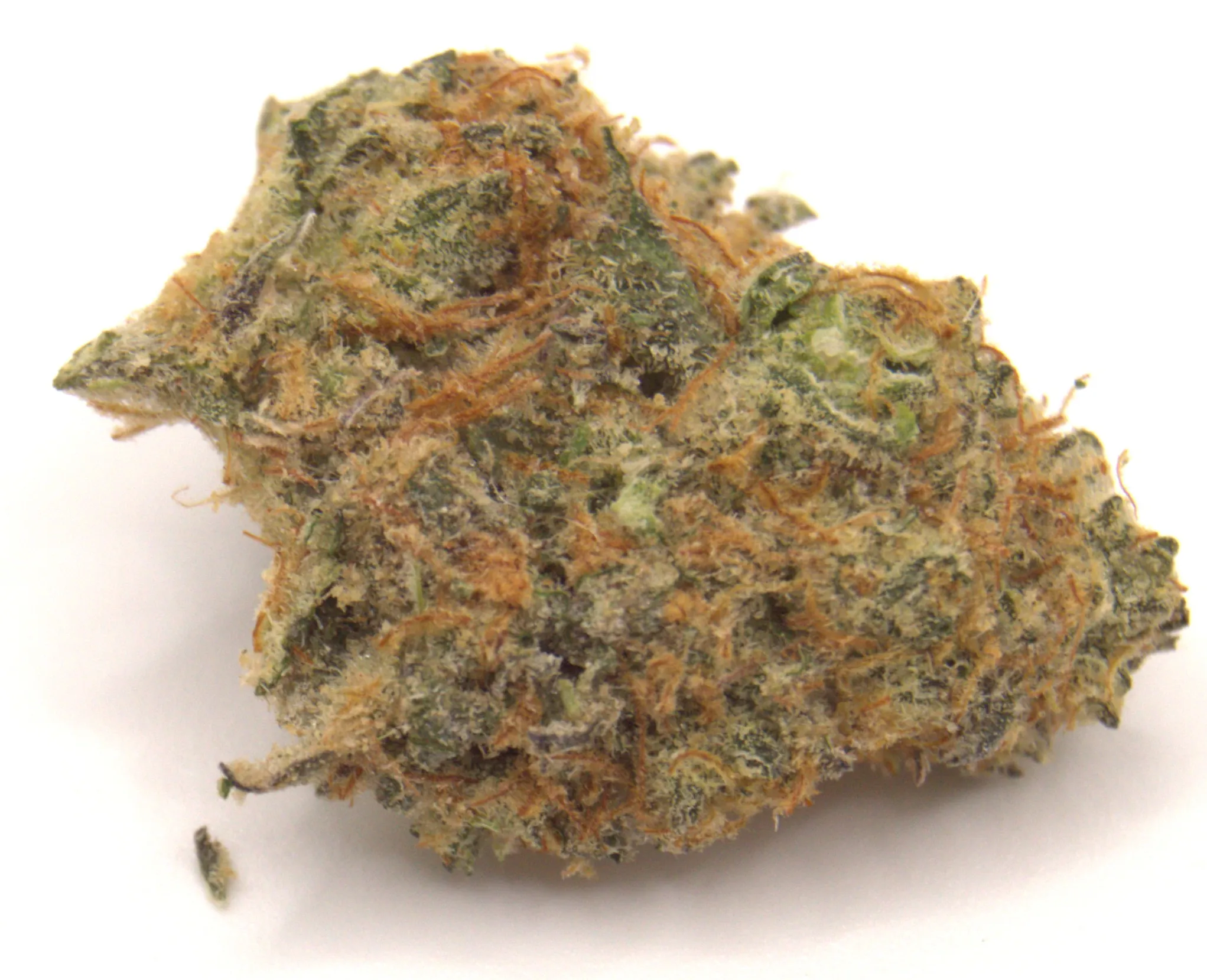 Tutti Fruitti