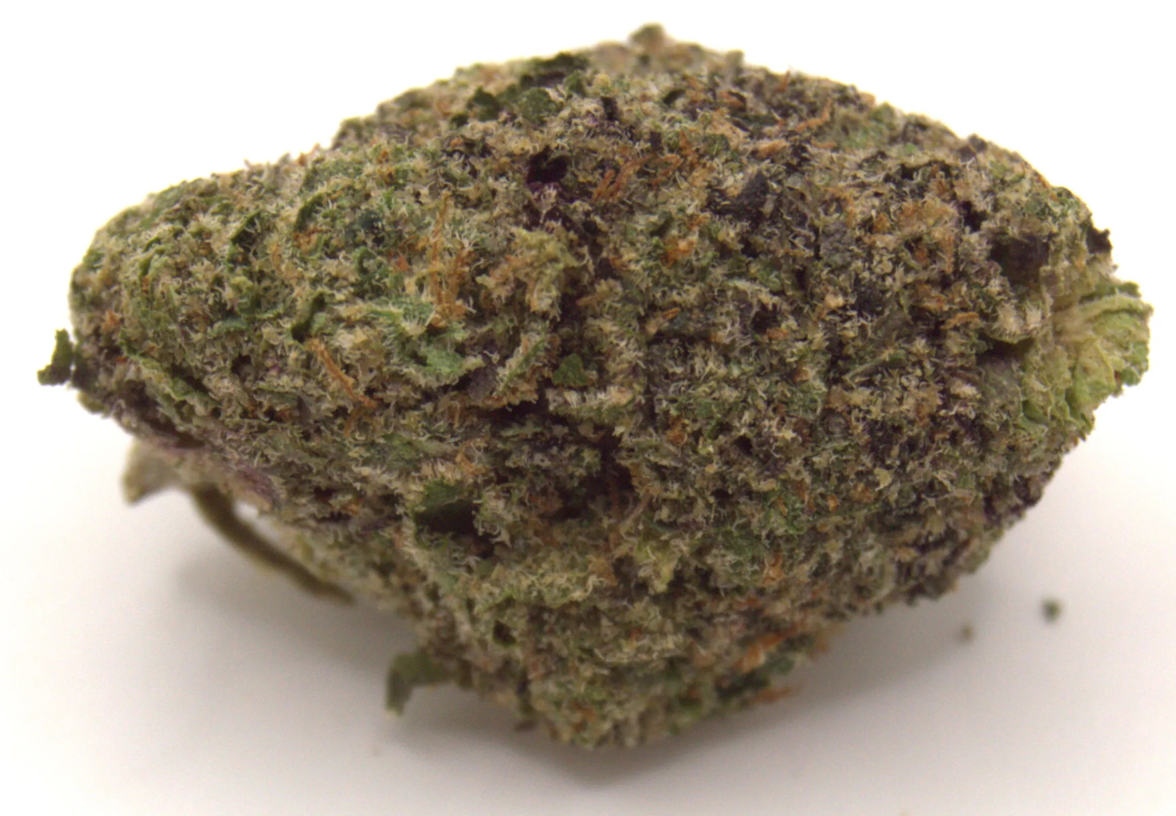 Sherb Cream Pie