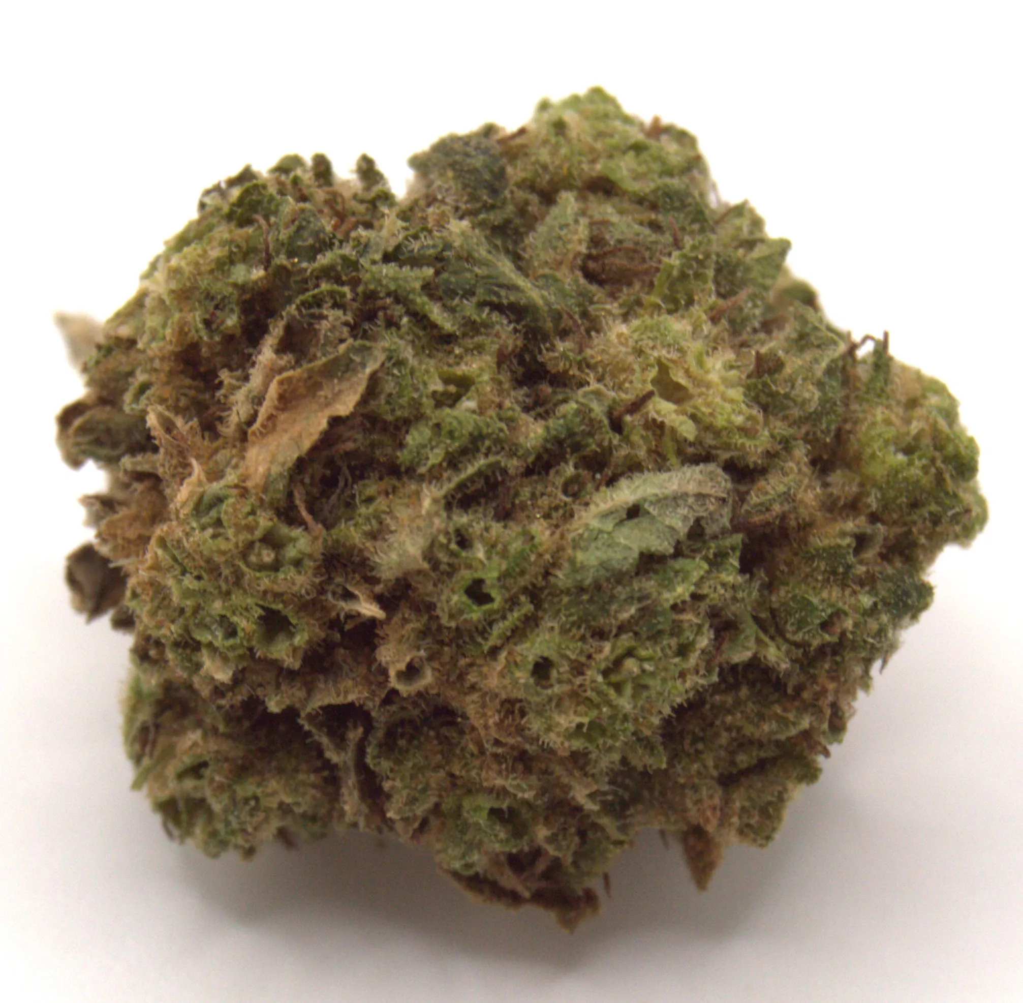 Green Crack