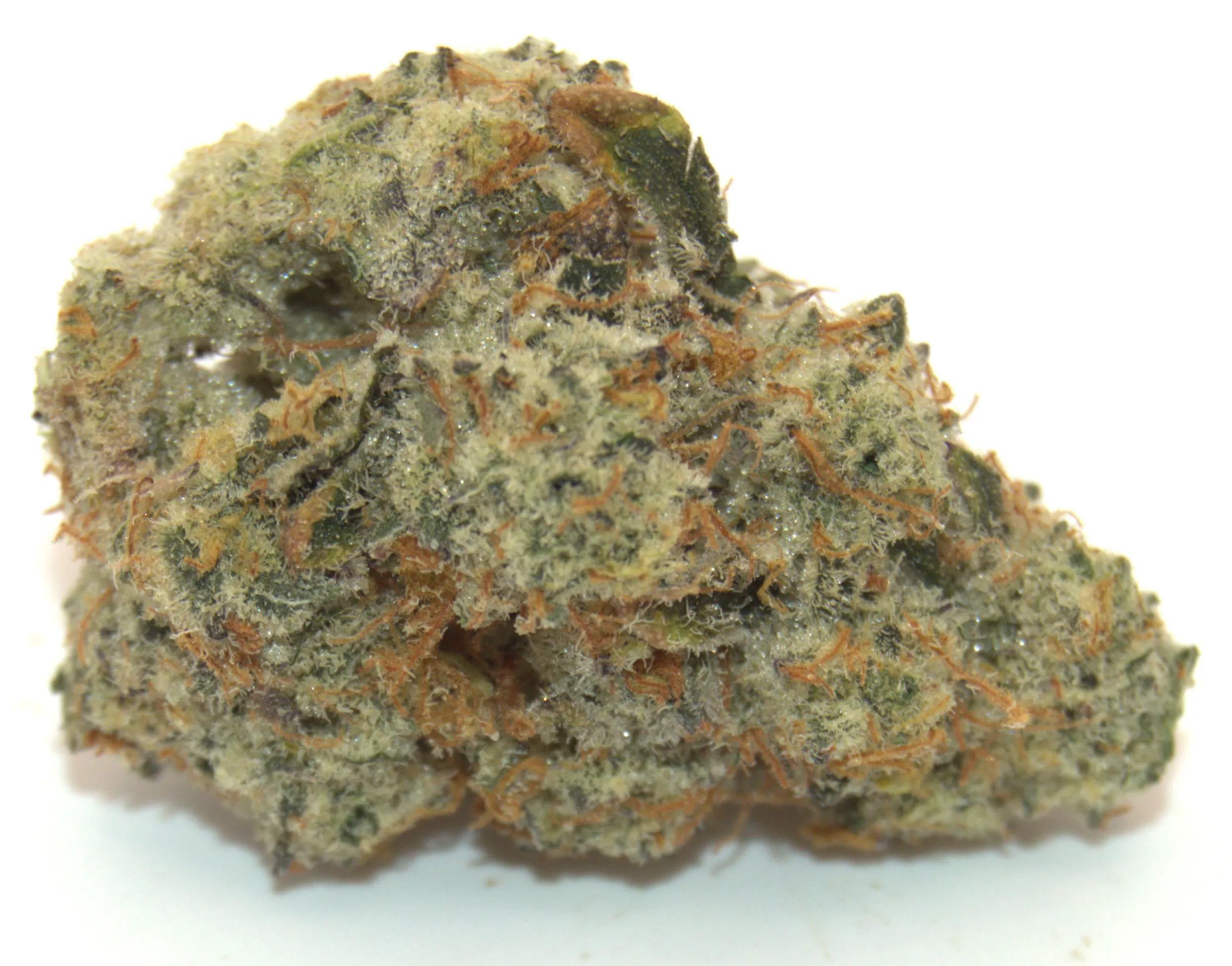 Gruntz