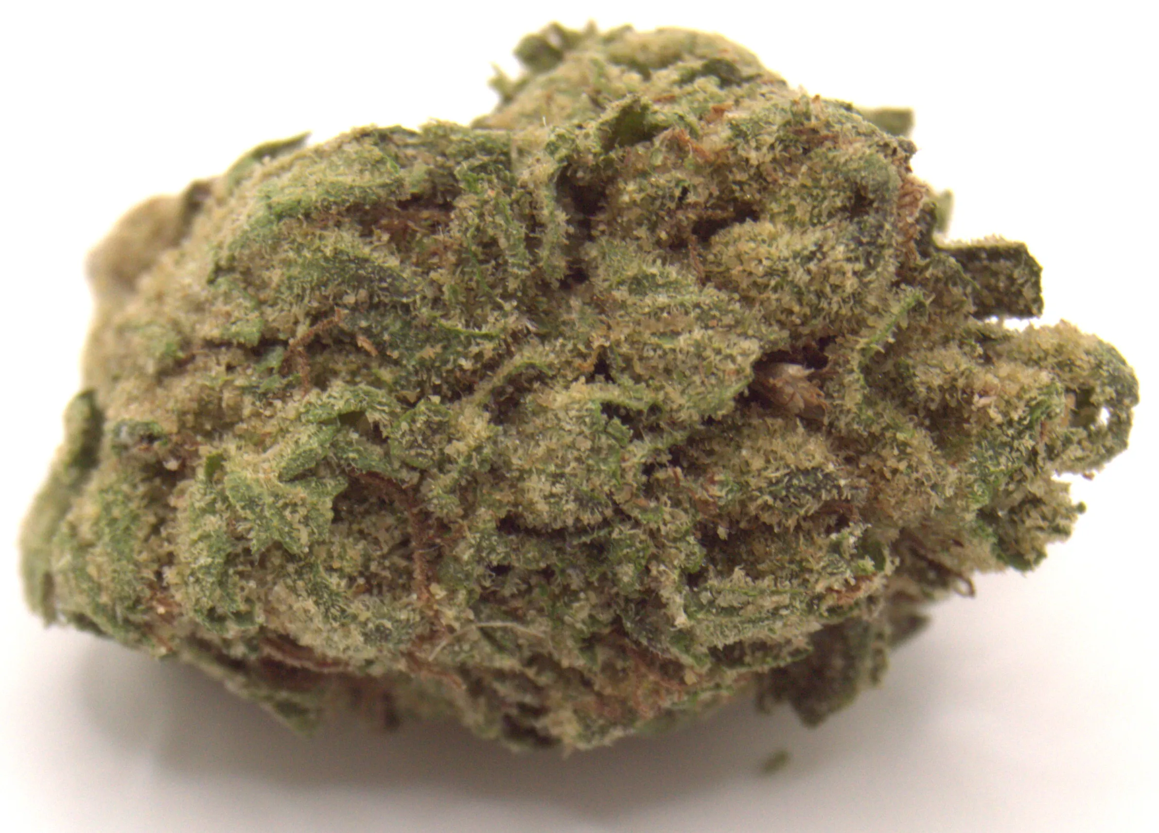 Black Cherry Gelato