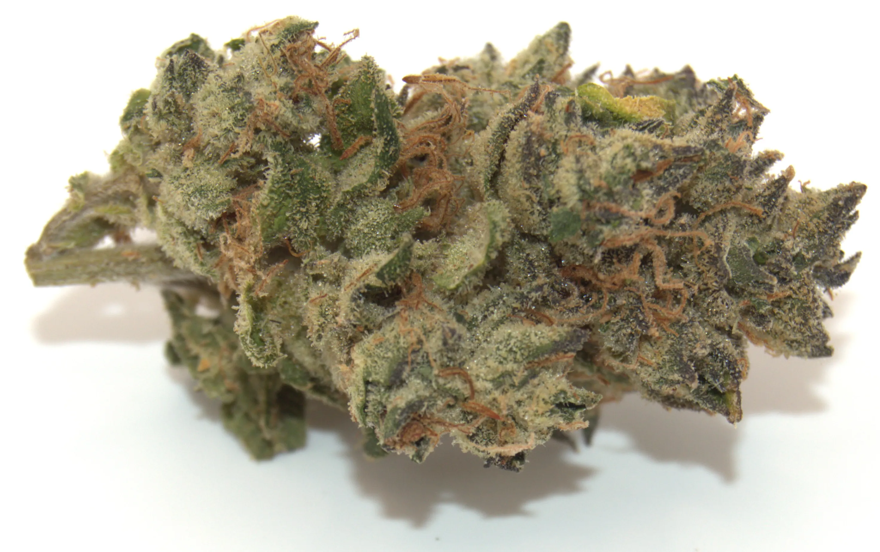 Clementine