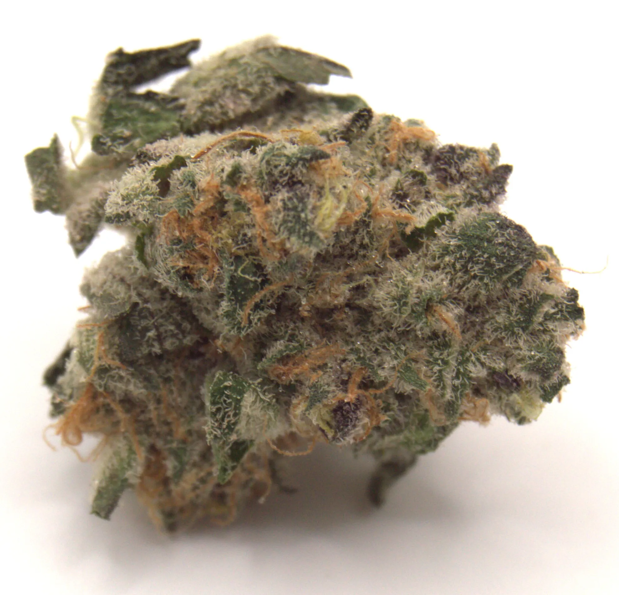 Grapefruit Haze