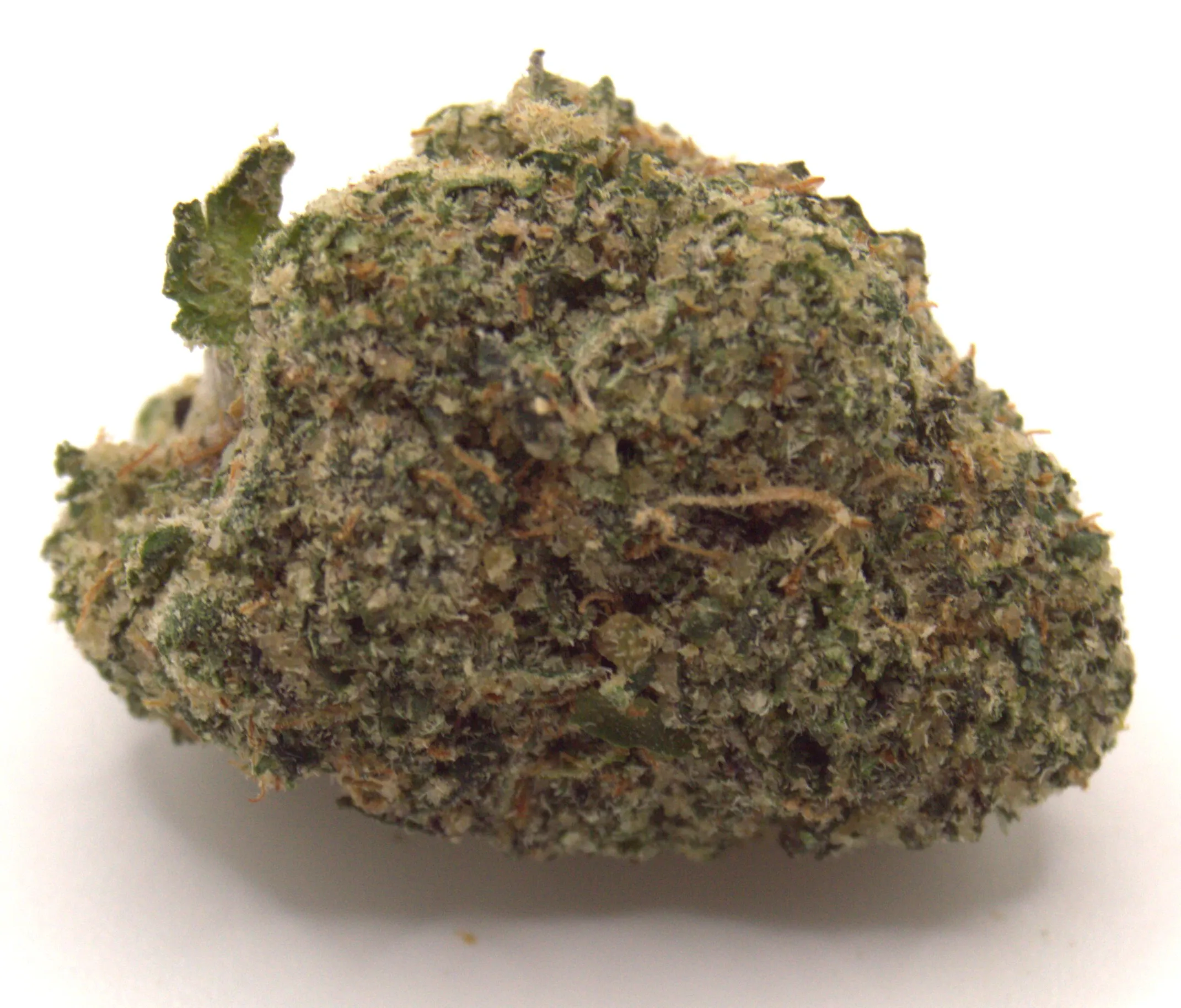 Saucy Runtz