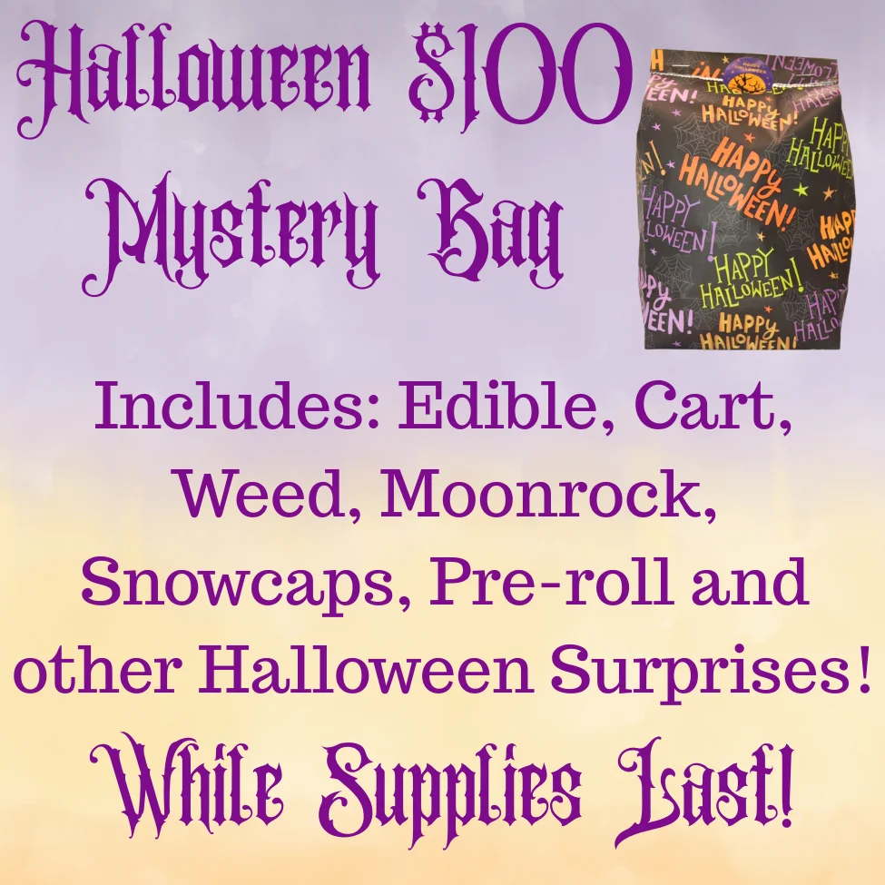 Halloween $100 Mystery Bag