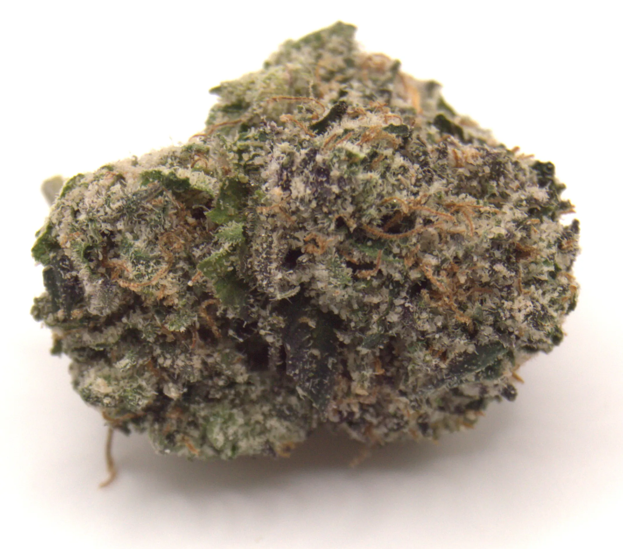 Cali Runtz