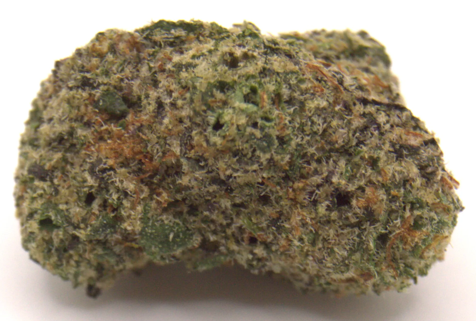 Zour Zittlez