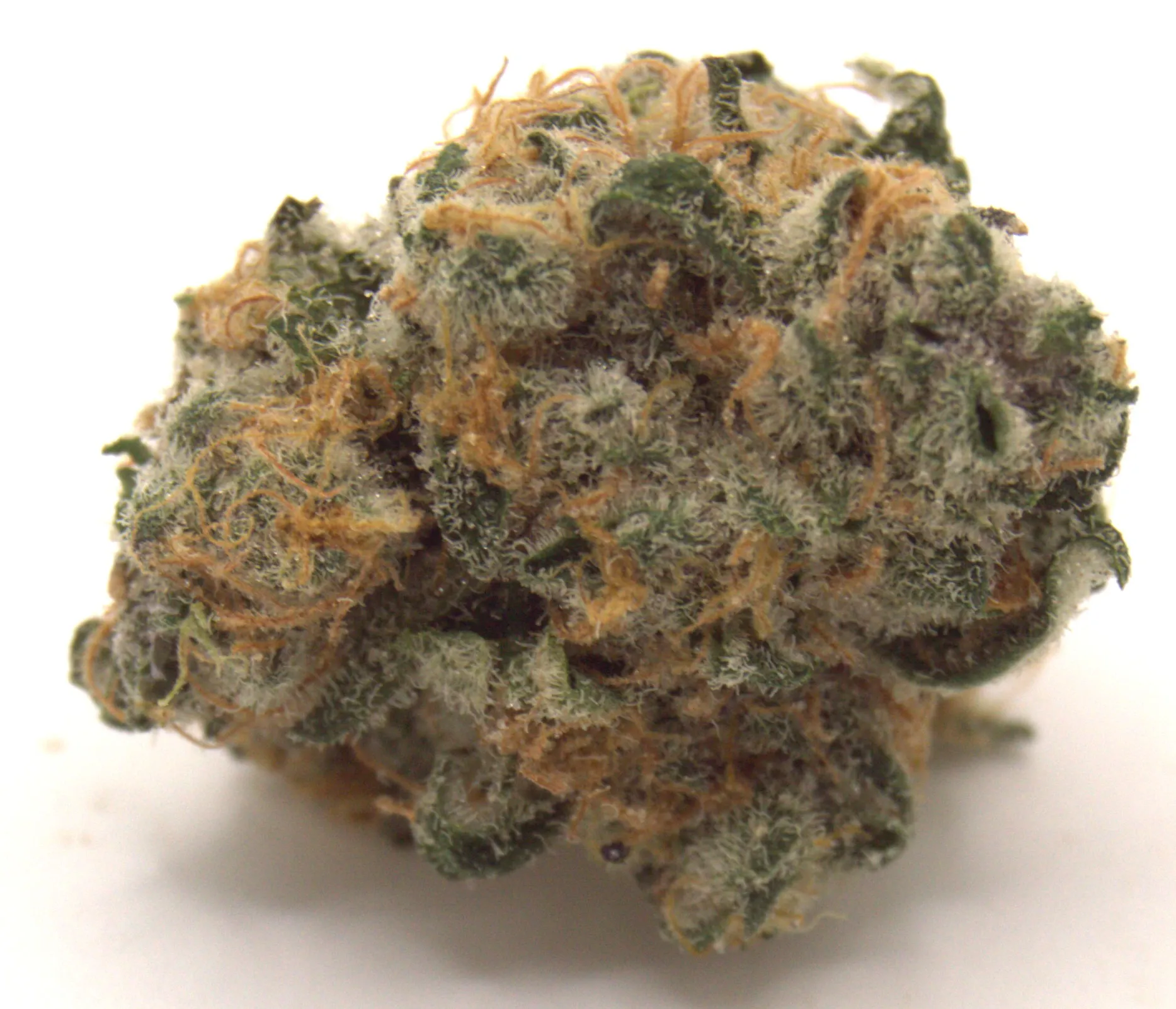 Hashburger