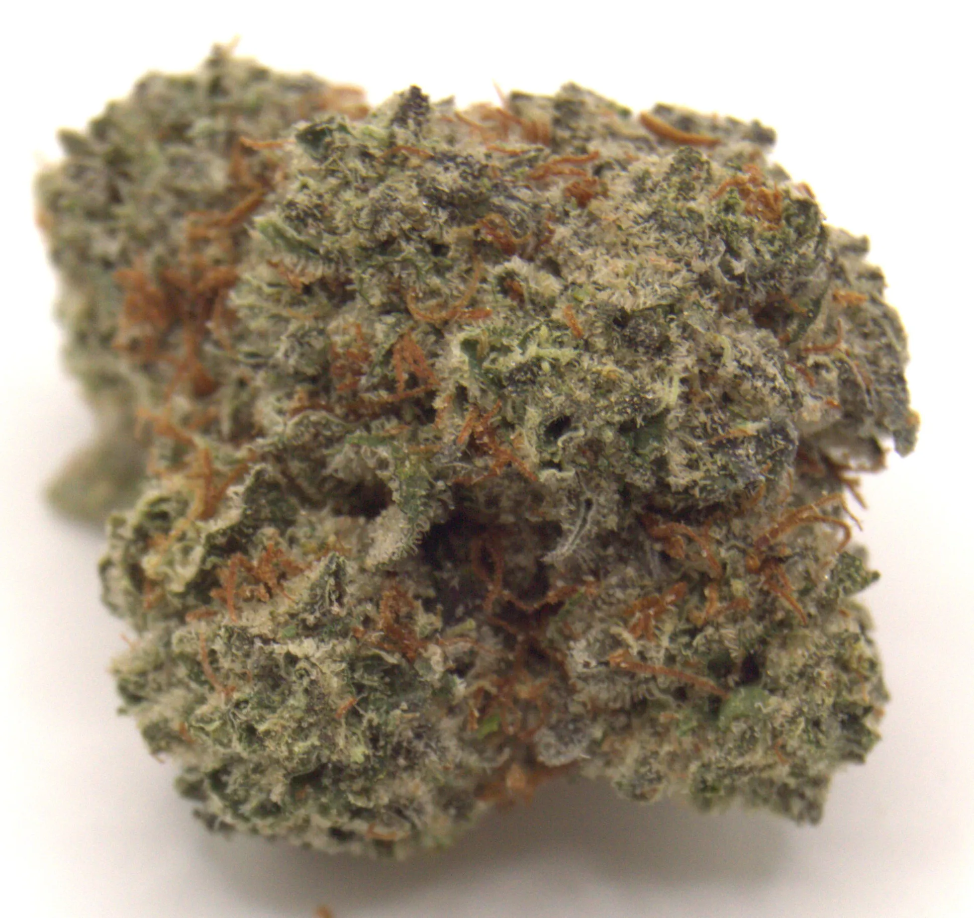 Silver Bullet