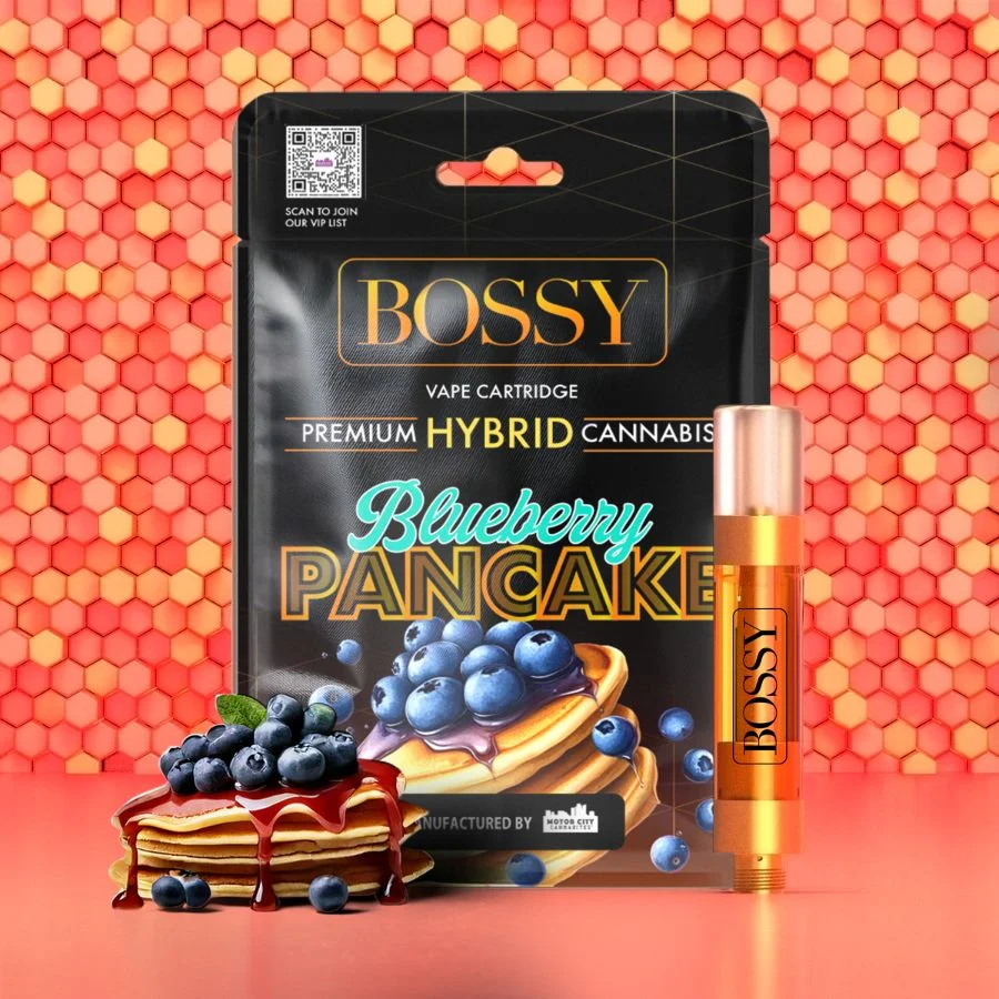 Blueberry Pancake