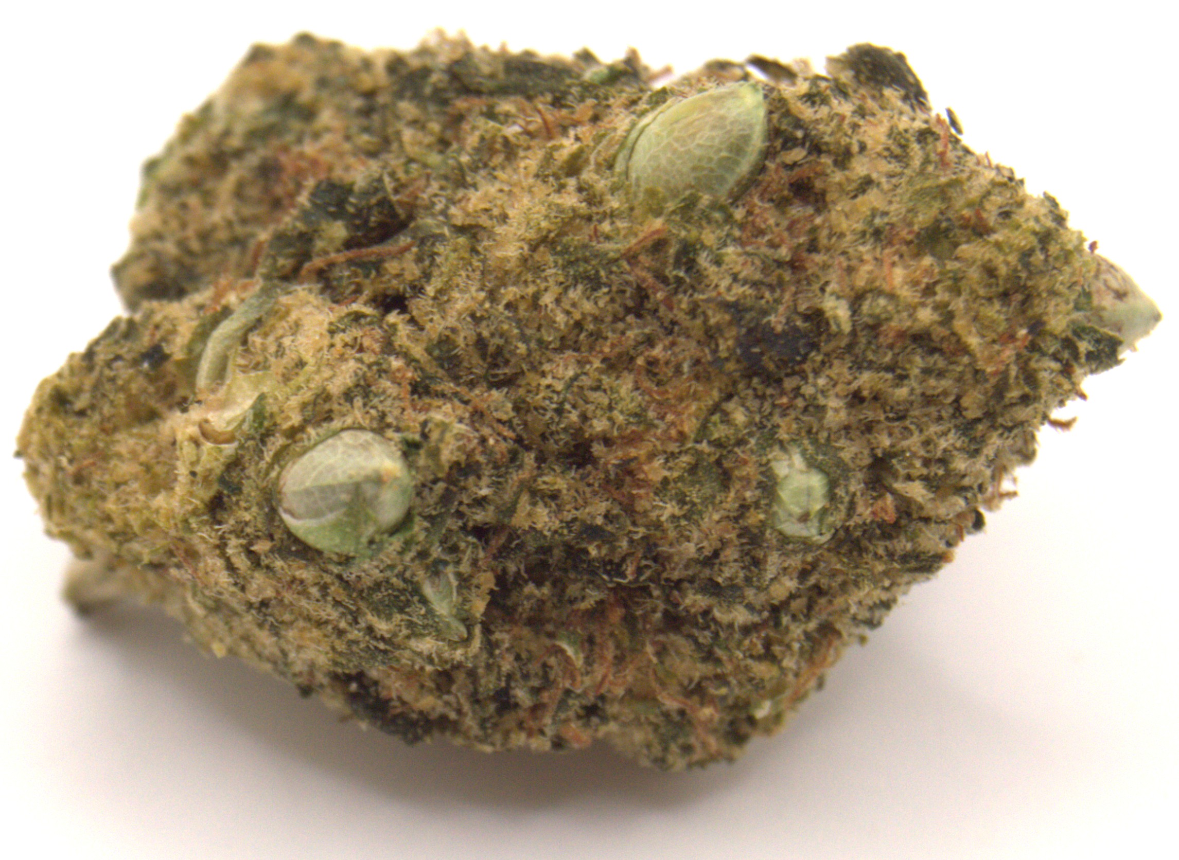 Trainwreck (seeded)