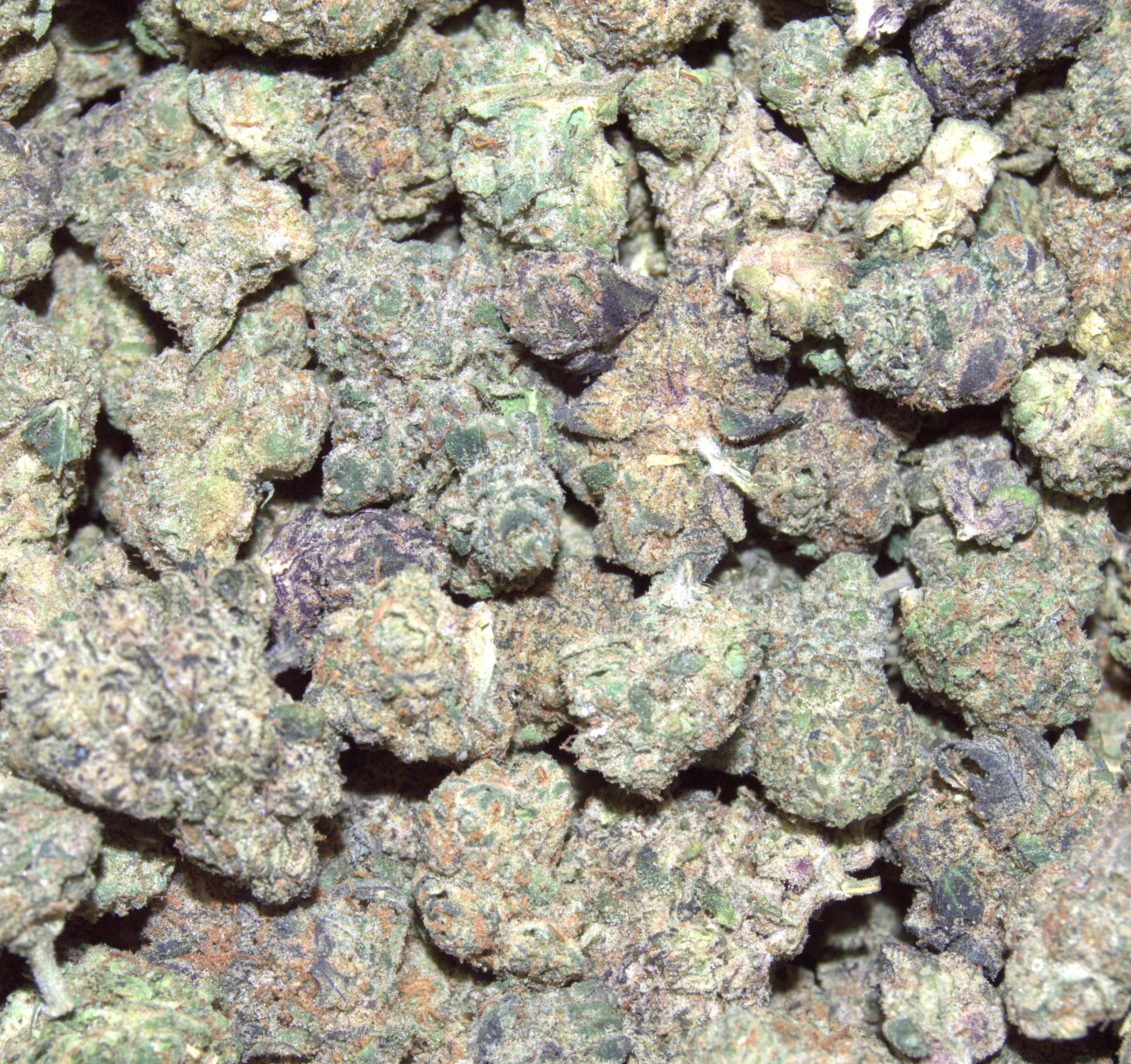 Nothin But Fire Mix
