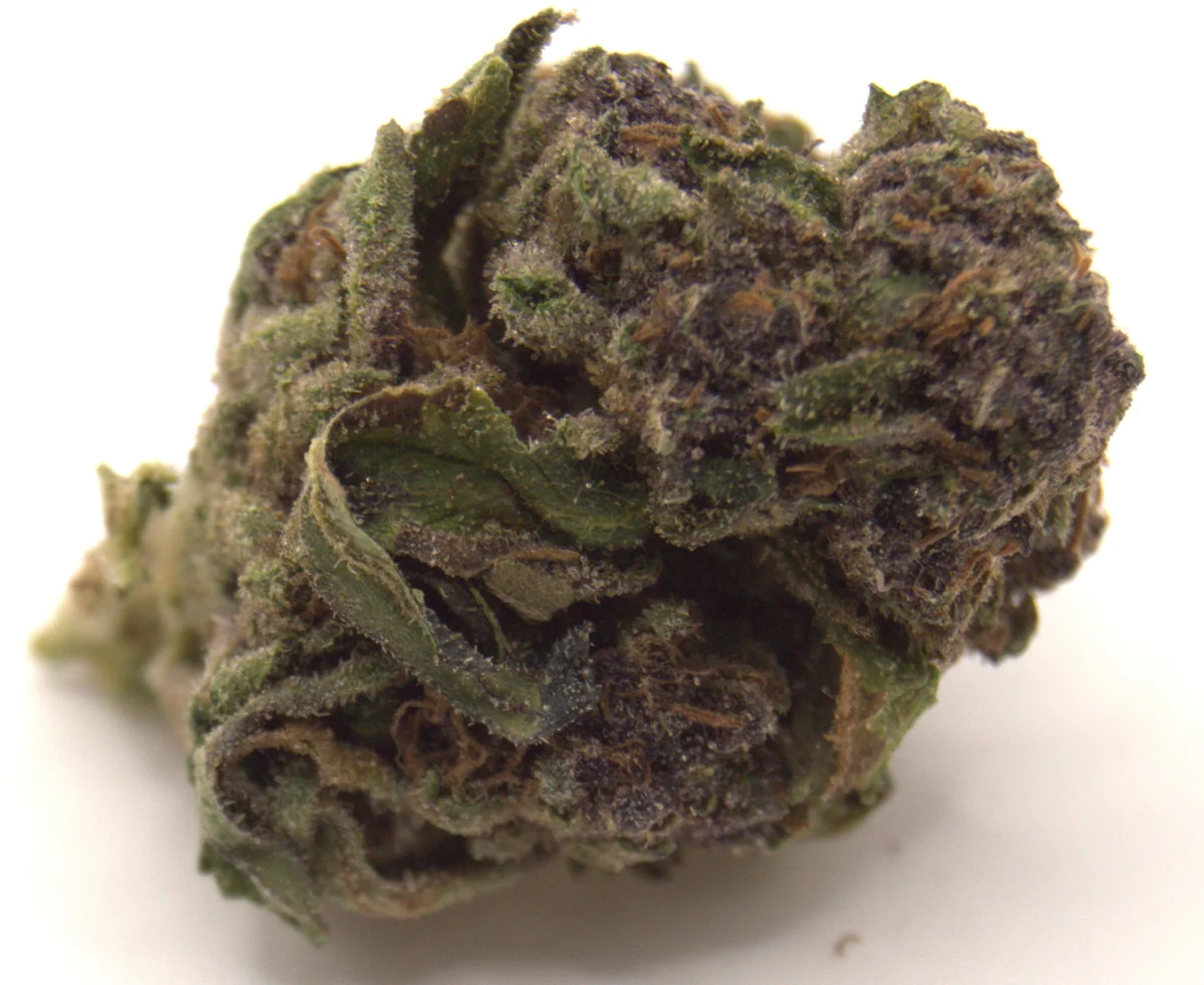 Tangerine Dream